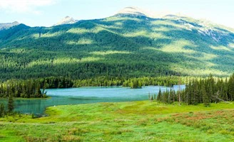 Favourable activity1